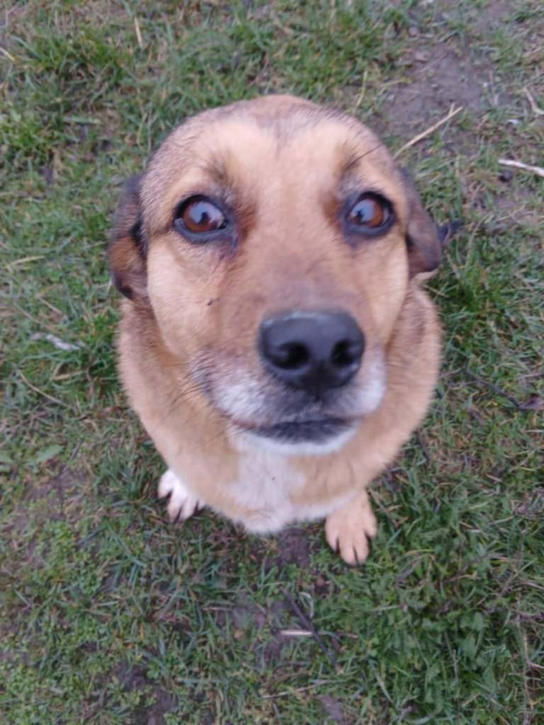 FB_IMG_1768062433600