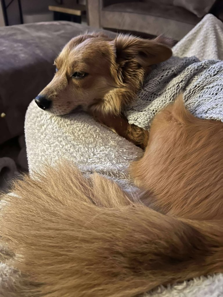 FB_IMG_1768386930468