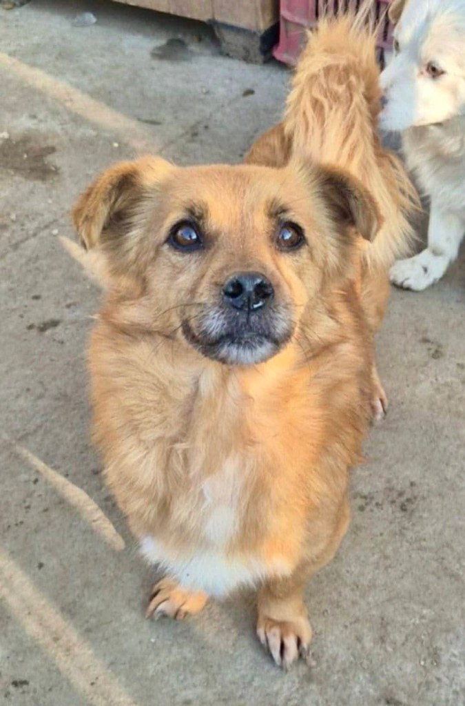 FB_IMG_1768506204959