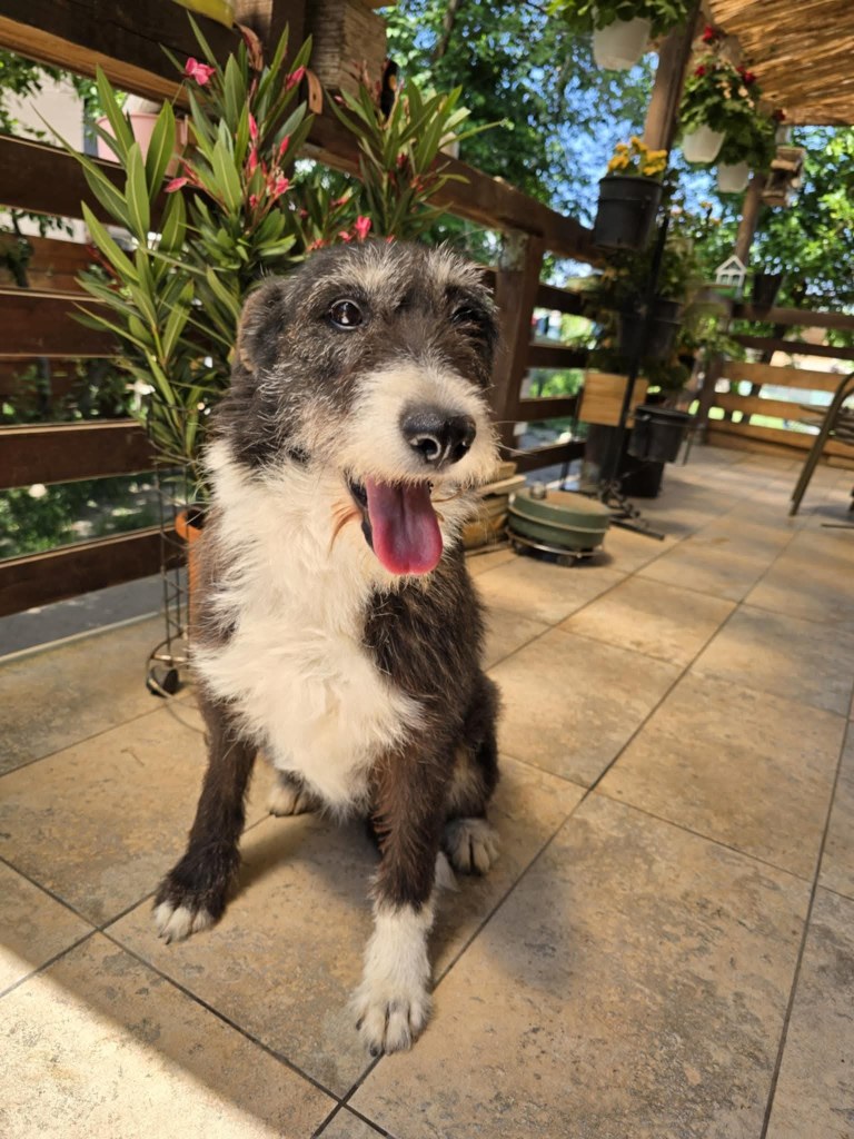 FB_IMG_1768654341949