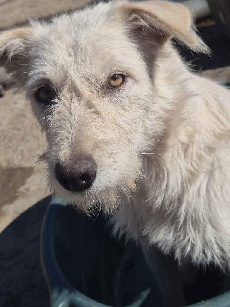 FB_IMG_1768654757616