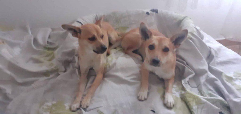 FB_IMG_1768655018449