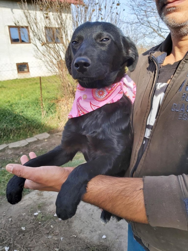 FB_IMG_1768655575391