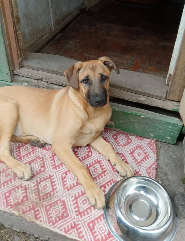 FB_IMG_1768655765762