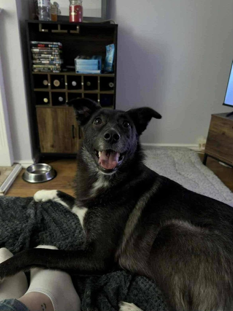 FB_IMG_1768681174618