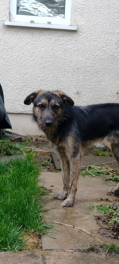 FB_IMG_1768681363426