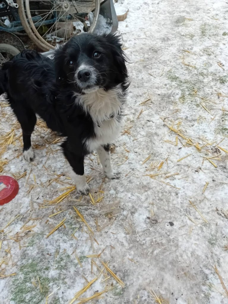 FB_IMG_1769084044175