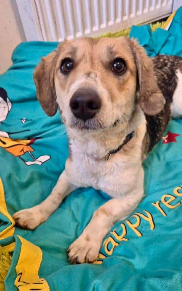 FB_IMG_1769858163153