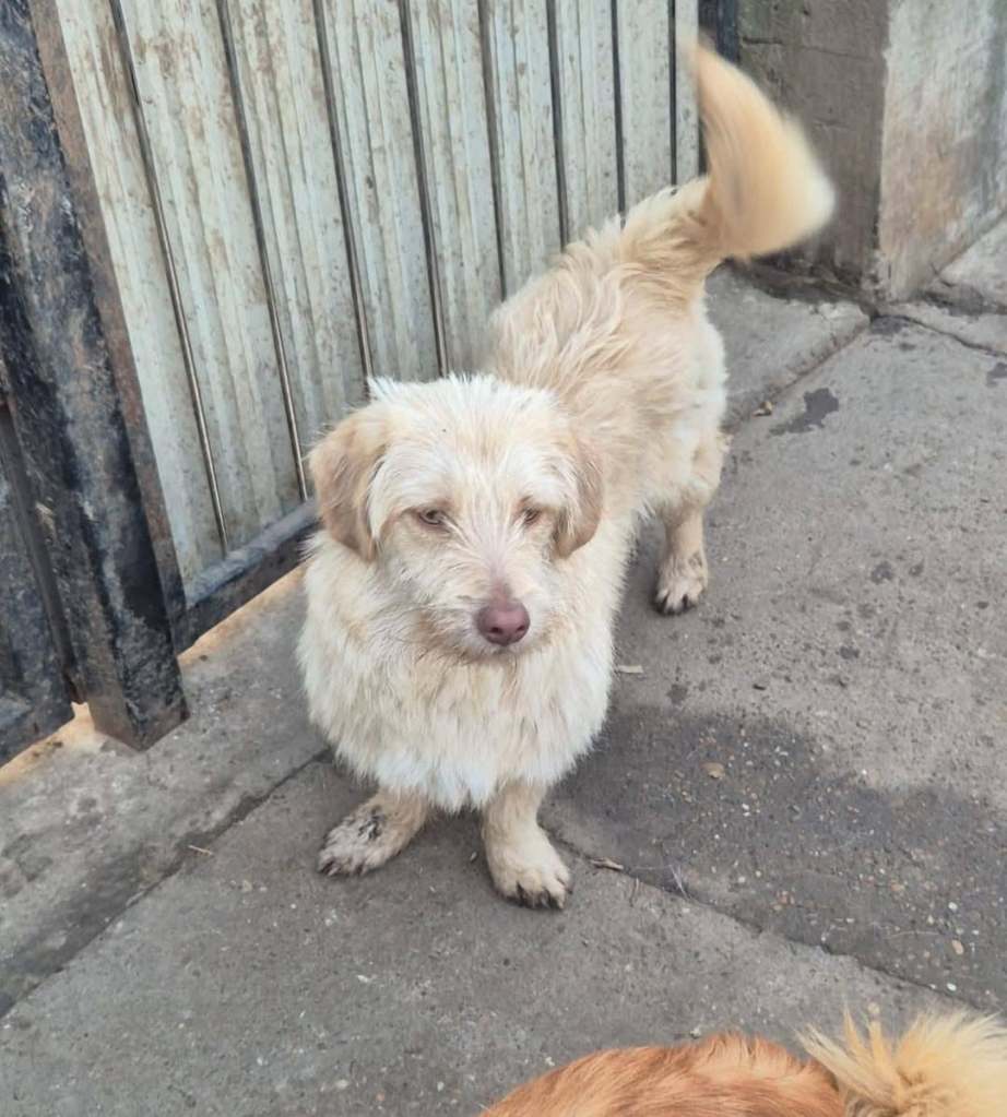 FB_IMG_1769858311013