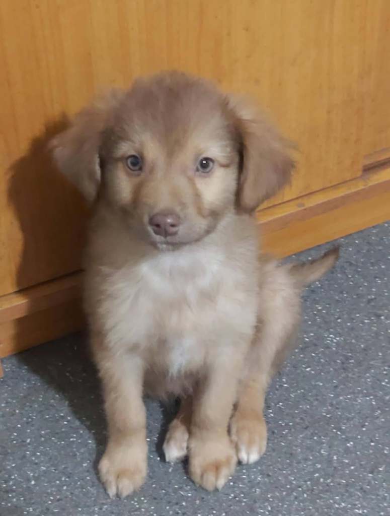 FB_IMG_1769863655201