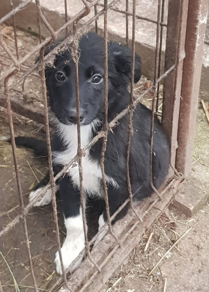 FB_IMG_1769863682097