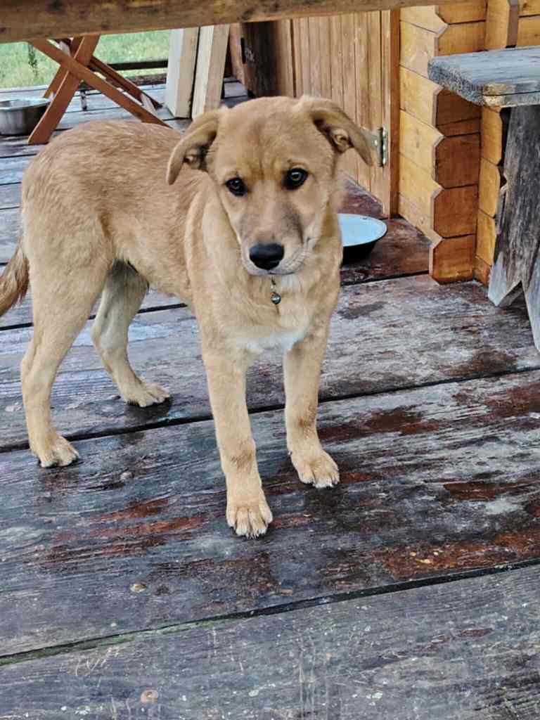 received_2614868212184500