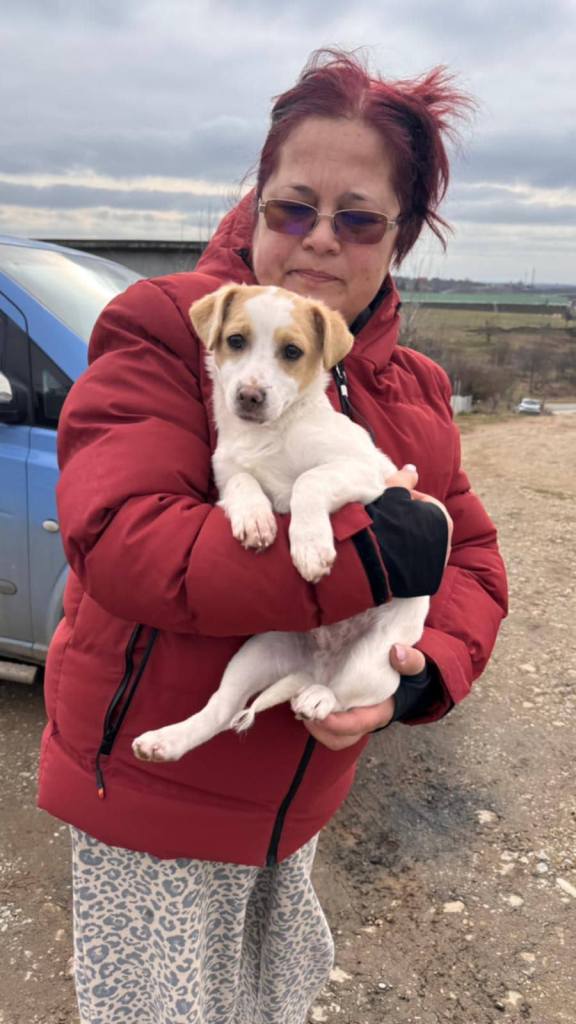 FB_IMG_1770027939950