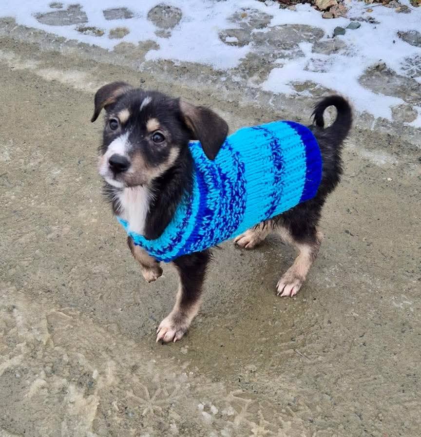 FB_IMG_1770120111180