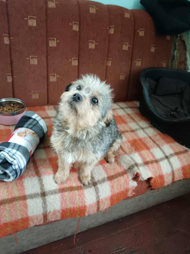 FB_IMG_1770219588154