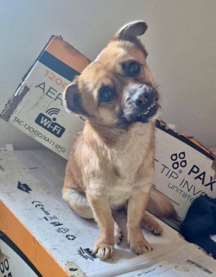 FB_IMG_1770284908726