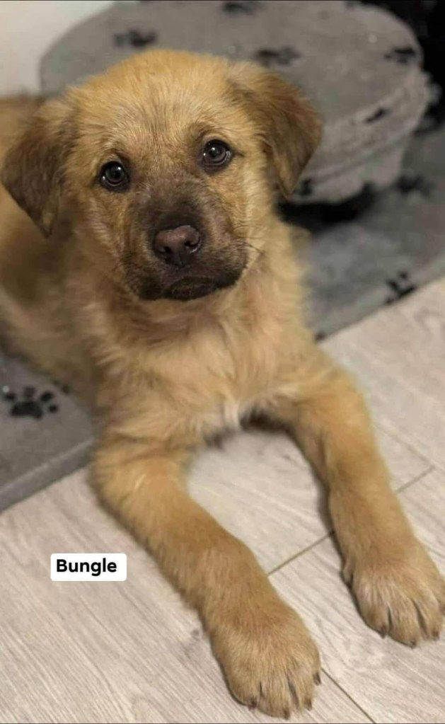 FB_IMG_1770551307136