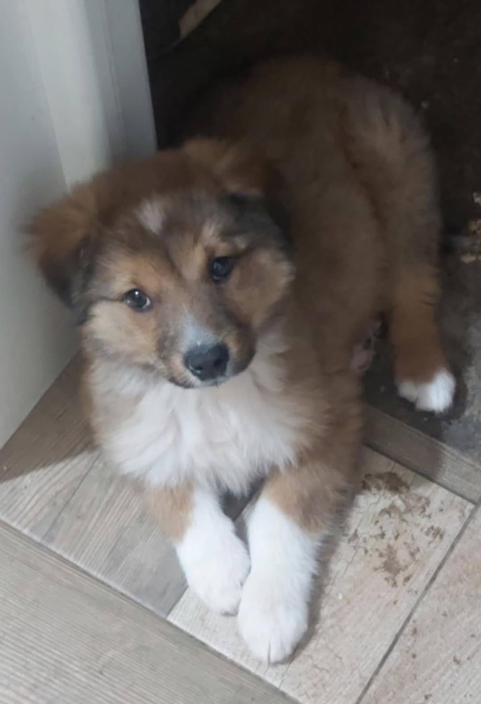 FB_IMG_1770552078469