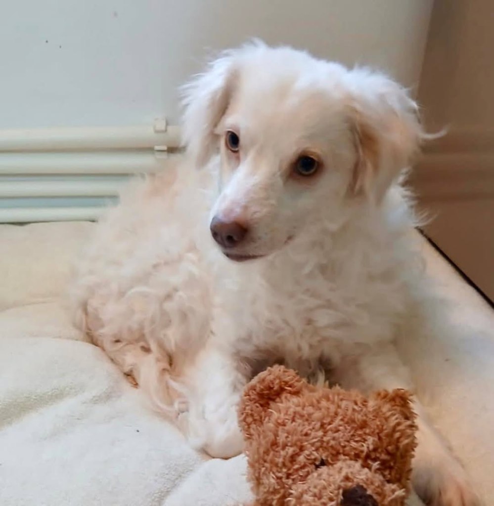 FB_IMG_1770644843942