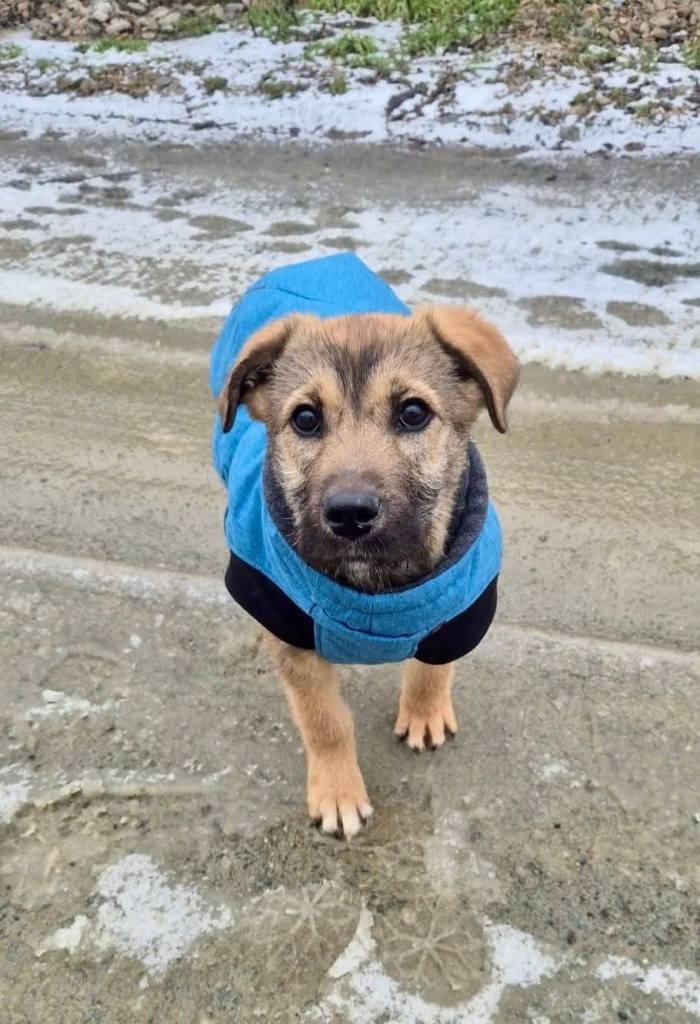 FB_IMG_1770802189859