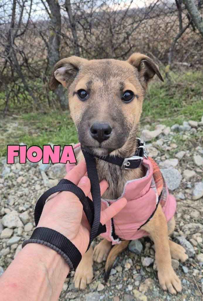 FB_IMG_1770802223970