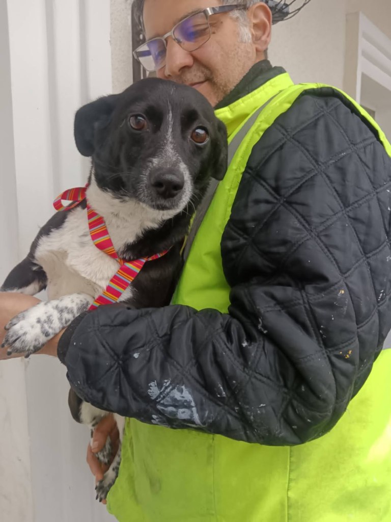 FB_IMG_1770803374003