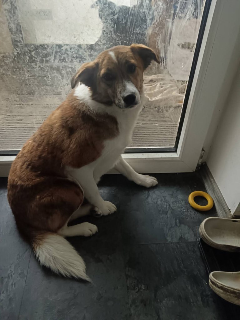 FB_IMG_1770978759820