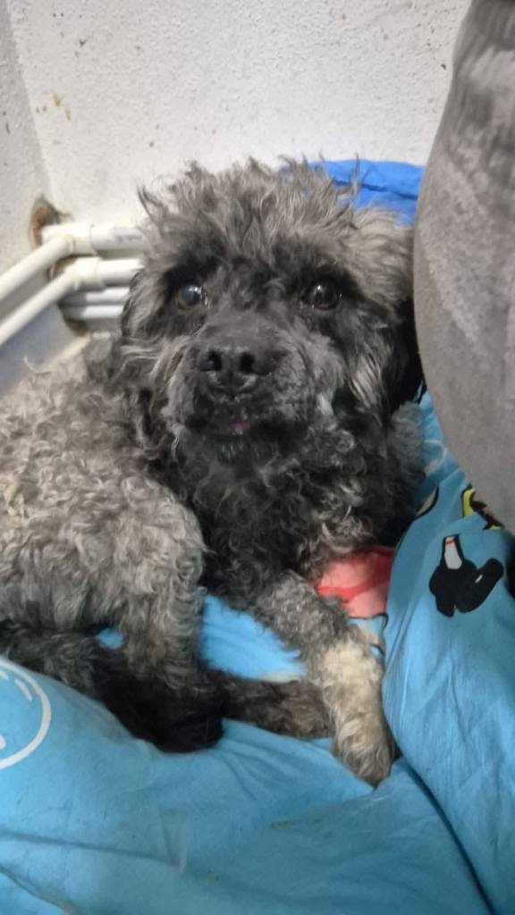 FB_IMG_1771060812568