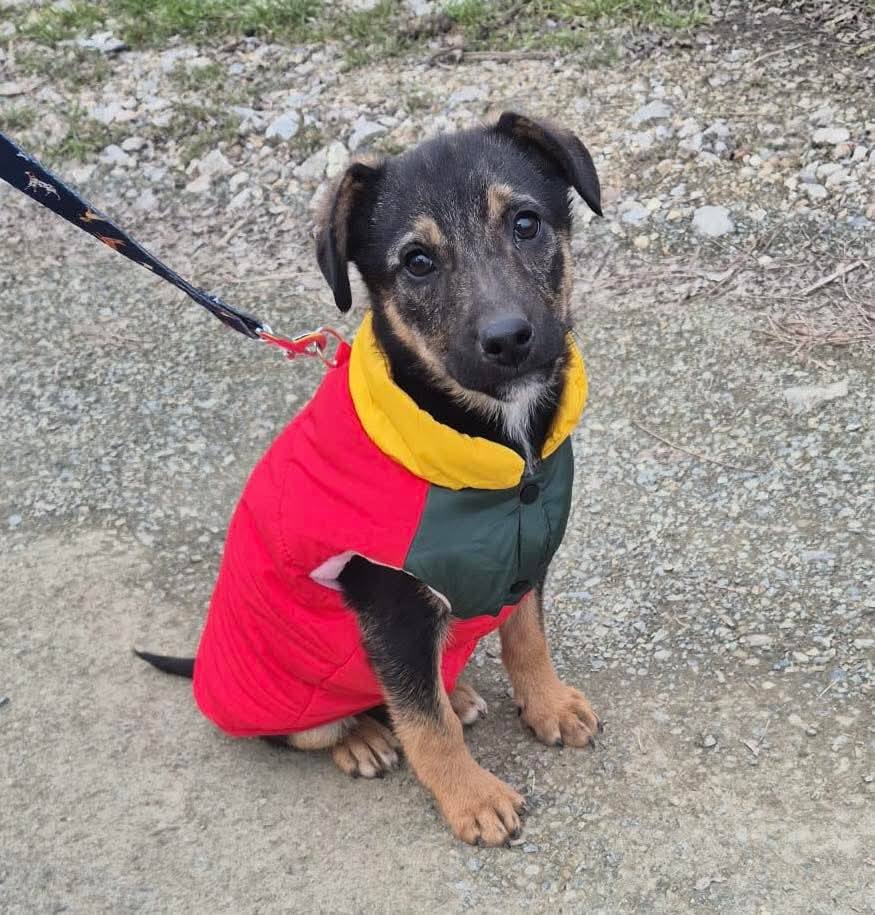 FB_IMG_1771060842905